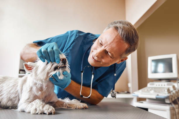 Best Walk-In Emergency Dentist in Mission Viejo, CA